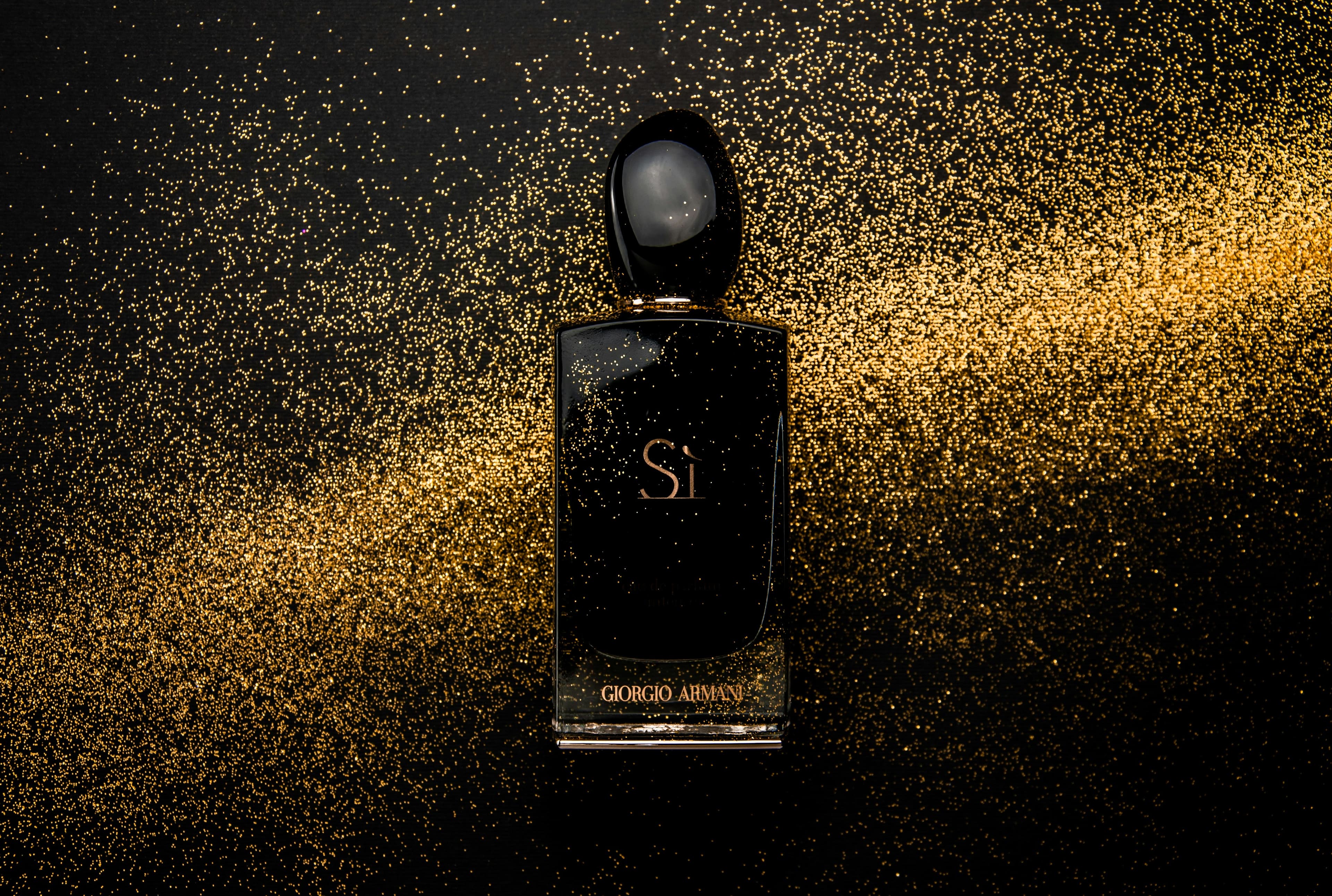 Discover the New Collection